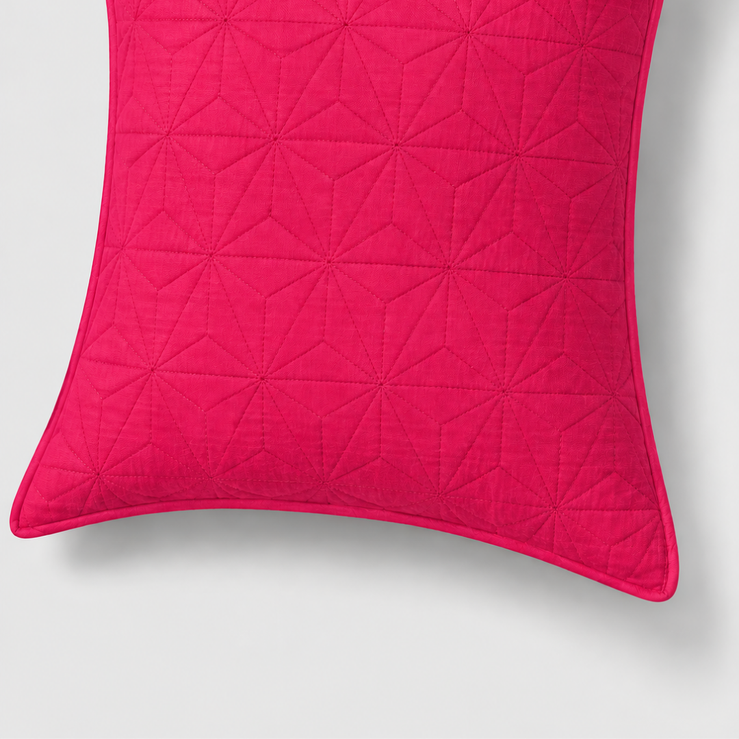 Rani Color stitched design Cushion cover