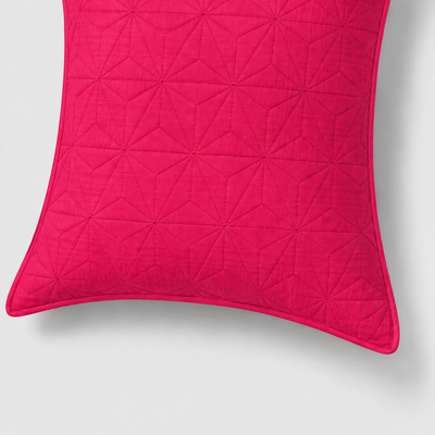 Rani Color stitched design Cushion cover