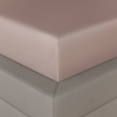 Champagne Fitted Bedsheet Set