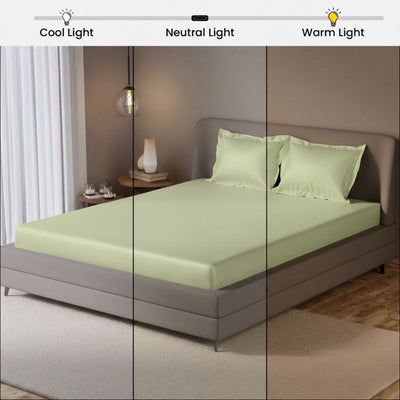 Echo Biege Fitted Silk Double Bedsheet