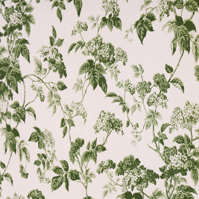 Green Leafy Vine Floral Pure Cotton King Size Bedsheet