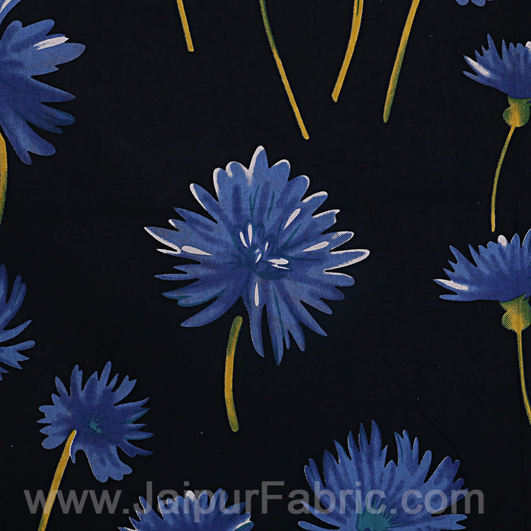 Sun Flower Double Bedsheet Combo of 4