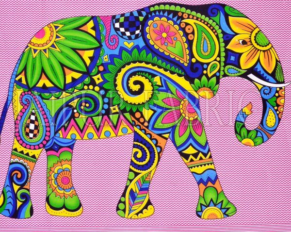 COMBO25 - Set of 3 Double Bedsheets