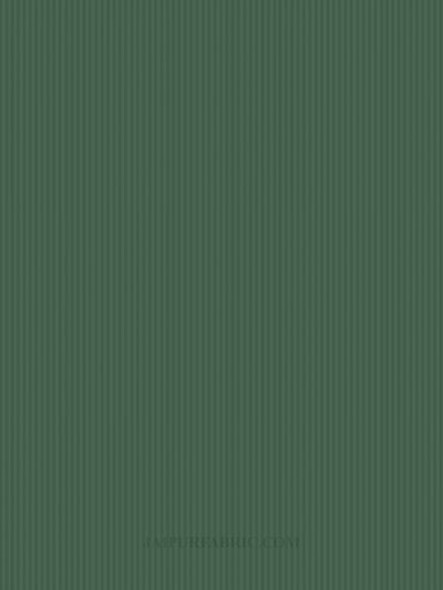 Forest Green Satin Stripes Single BedSheet
