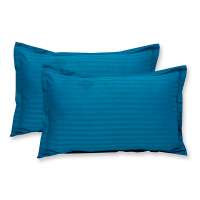 Turquoise Pillow Covers (Set of 2)