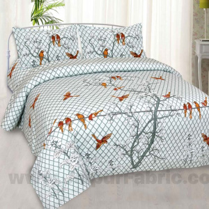 Silver Sparrow Cotton King Size Bedsheet